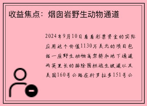 收益焦点：烟囱岩野生动物通道